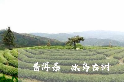 普洱茶 冰岛古树/2023031783737